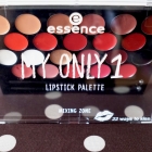 My only 1 Lipstick Palette - essence