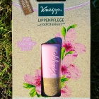 Lippenpflege mit Depot-Effekt - Mandel-Candelilla - Kneipp