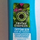 Verwöhnende Feuchtigkeit - Feuchtigkeits-Shampoo - Herbal Essences