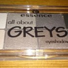 all about - Greys eyeshadow - essence