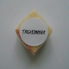 Trichomania - Festes Shampoo - LUSH