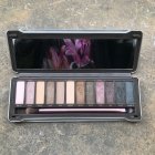 ICON Eyeshadow Palette Exposed - Absolute New York