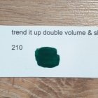 Double Volume & Shine Nail Polish - trend IT UP