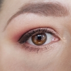 Born to Run Eyeshadow Palette - Urban Decay
