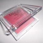 blush up! powder blush - essence