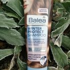 Professional - Winter Protect - Shampoo - Balea