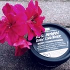 Ro's Argan - Body Conditioner - LUSH