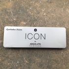 ICON Eyeshadow Palette Exposed - Absolute New York