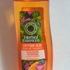 Volumen Wunder - Volumen Shampoo - Herbal Essences