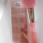 blush brush - essence