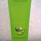 Aroma-Dusche Ginkgo-Limette von Bodysol