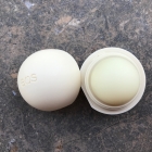 Organic Lip Balm - Vanilla Bean - eos