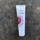 Lip Balm - Weleda